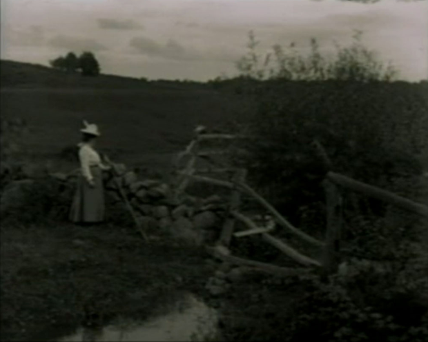 Agricultural Landscape